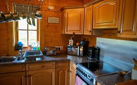 George Cabin - Log Cabin In Wales With Hot Tub