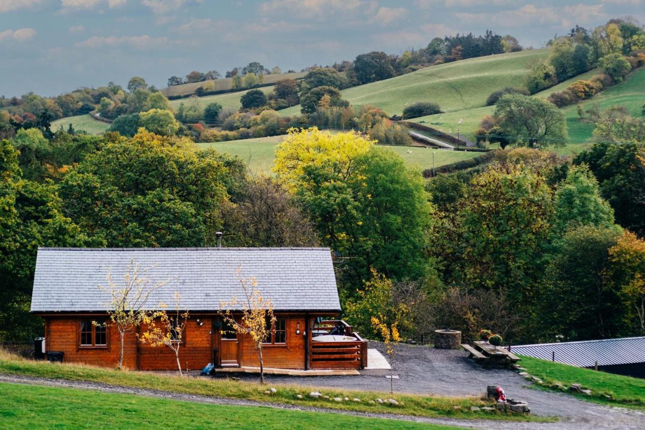 George Cabin - Log Cabin In Wales With Hot Tub Newtown  Exterior photo