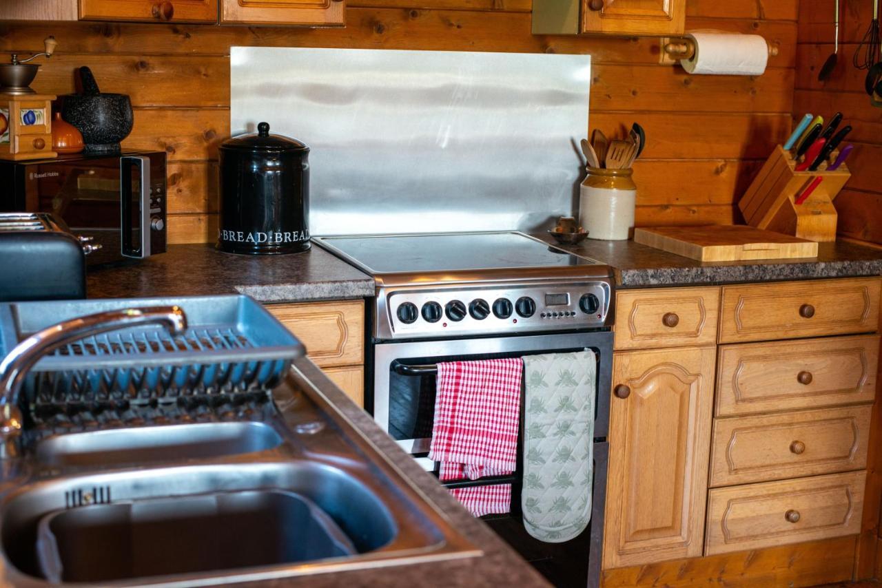 George Cabin - Log Cabin In Wales With Hot Tub Newtown  Exterior photo