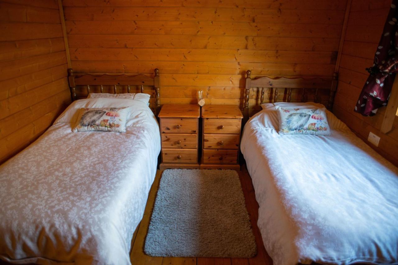 George Cabin - Log Cabin In Wales With Hot Tub Newtown  Exterior photo
