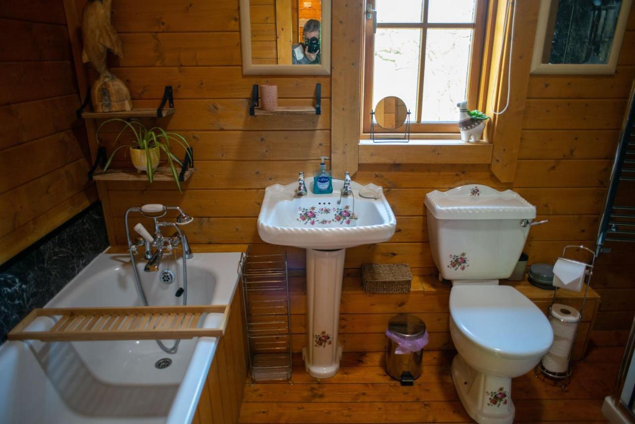 George Cabin - Log Cabin In Wales With Hot Tub Newtown  Exterior photo