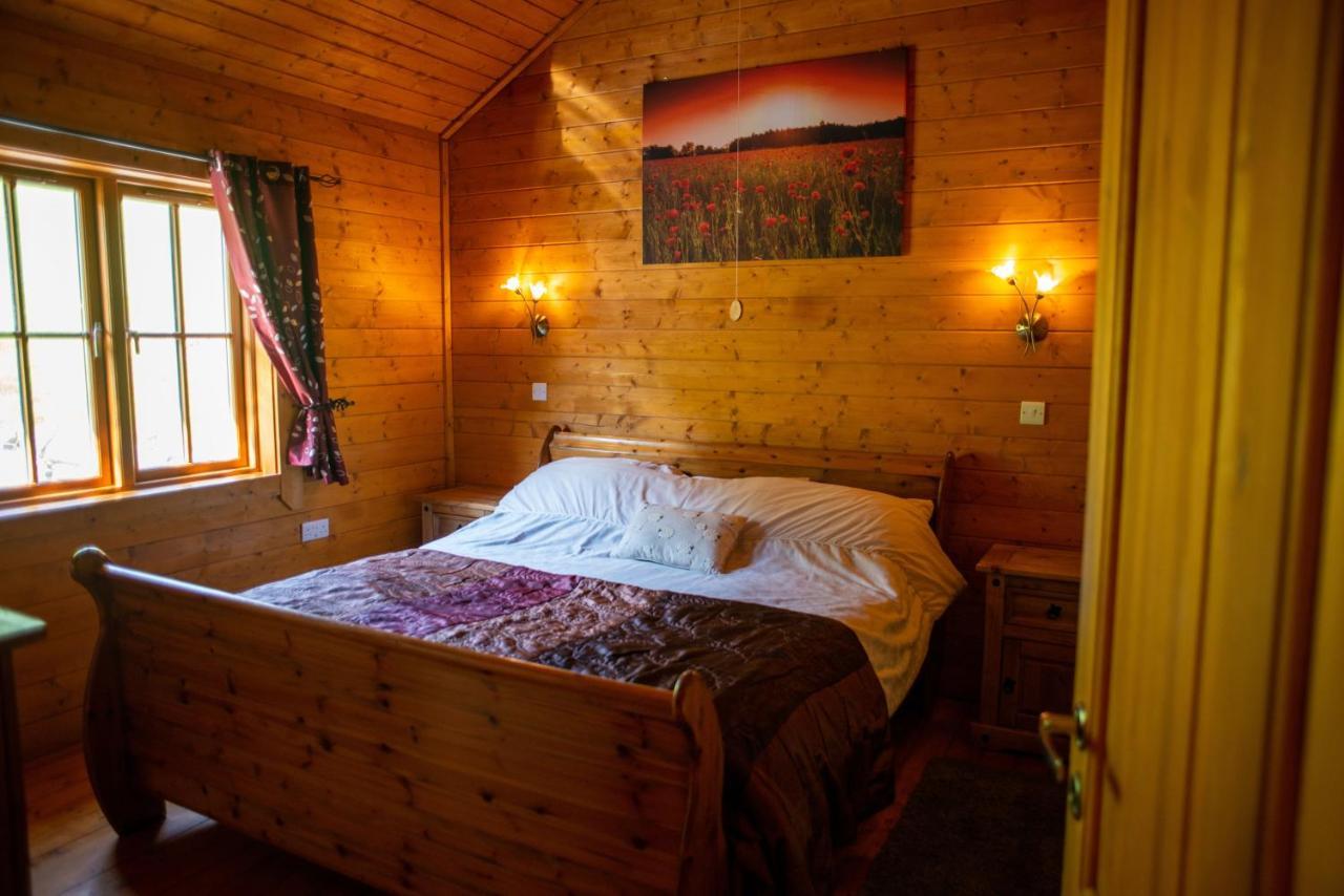 George Cabin - Log Cabin In Wales With Hot Tub Newtown  Exterior photo